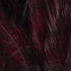 Dark Claret