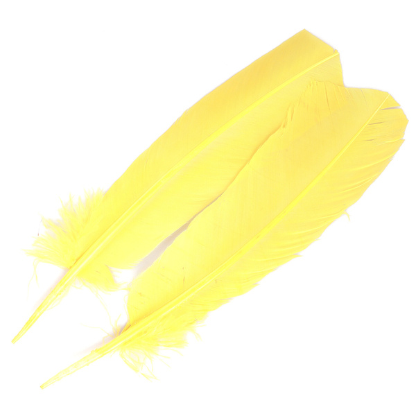 FFGene Turkey Wing Quill