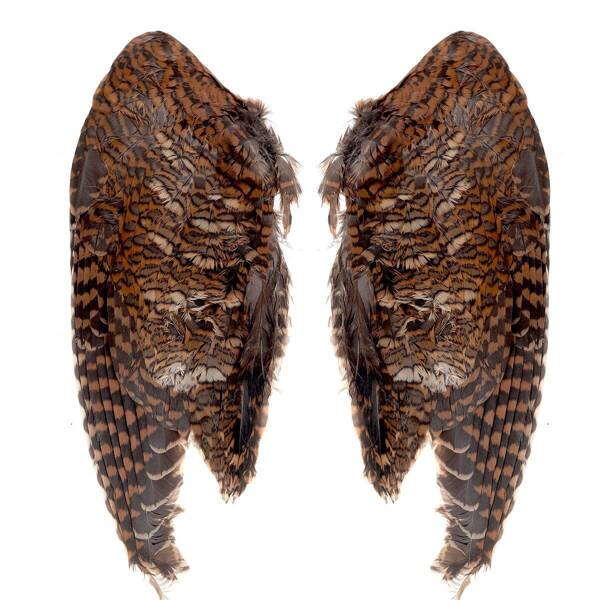 FFGene Woodcock Wings