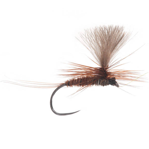 Parachute CDC Pheasant Tail