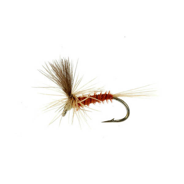 Parachute CDC Quill Body Lt. Brown (429)