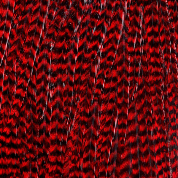 Ewing Grizzly Half Saddles