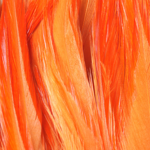 FFGene Strung Saddle Hackle