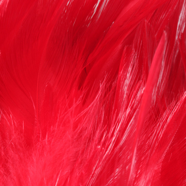 FFGene Strung Saddle Hackle