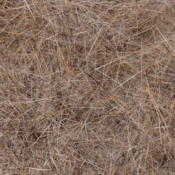 FFGene Hare Mask Dubbing