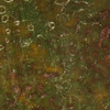 Frog Skin Yellow Olive Brown