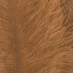 Wapsi Ostrich Marabou
