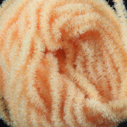 Hareline Trilobal Antron Chenille Small