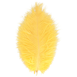 FFGene Ostrich Hackle Feathers