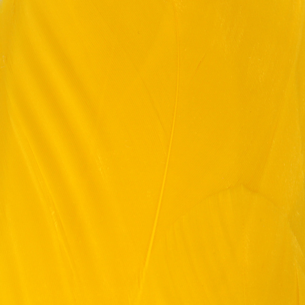 Hareline Select Goose Shoulder