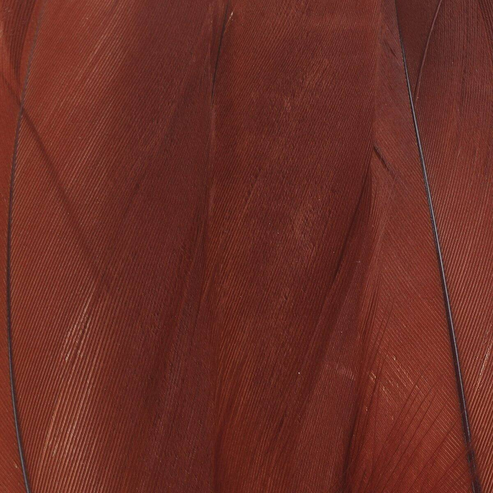 Fiery Brown