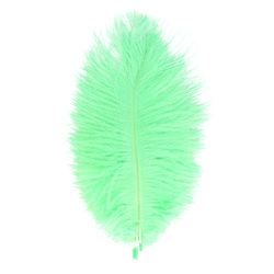 FFGene Ostrich Hackle Feathers