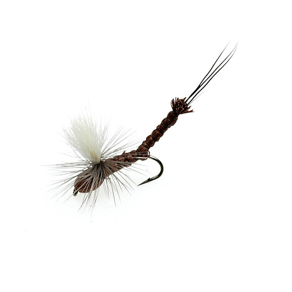 Parachute Brown Paradrake (080)