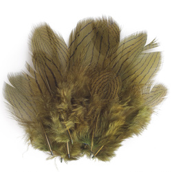 FFGene Silver Pheasant Feathers