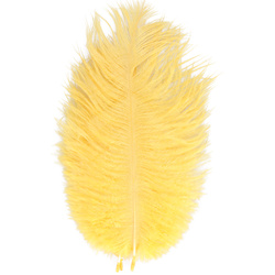 FFGene Ostrich Hackle Feathers
