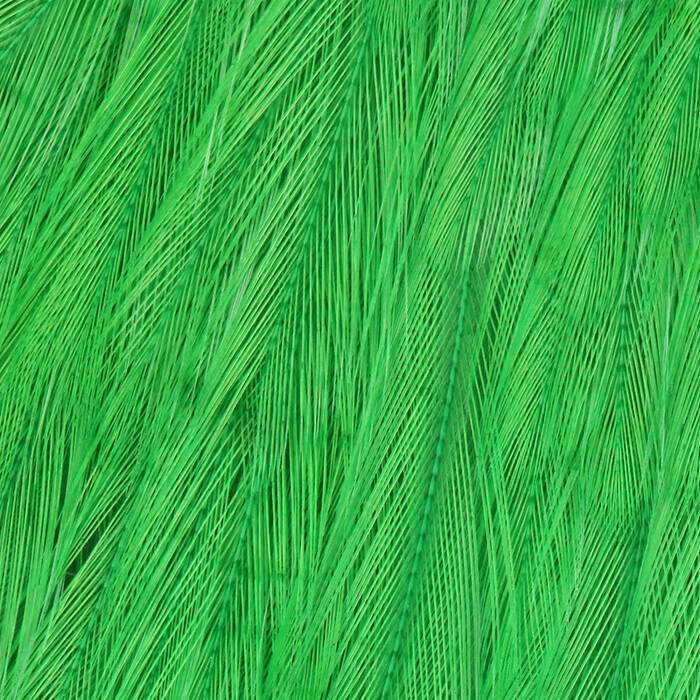 High Green