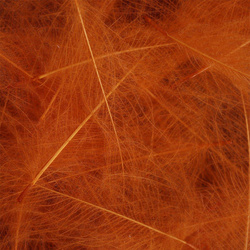 Spirit River UV2 Select CDC