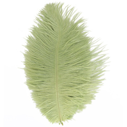 FFGene Ostrich Hackle Feathers