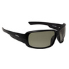 PL GREY Polarized Lens