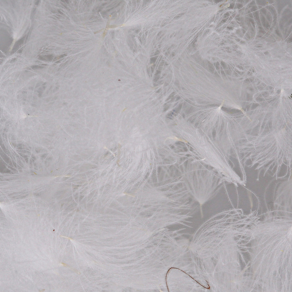 Hareline CDC Oiler Puffs
