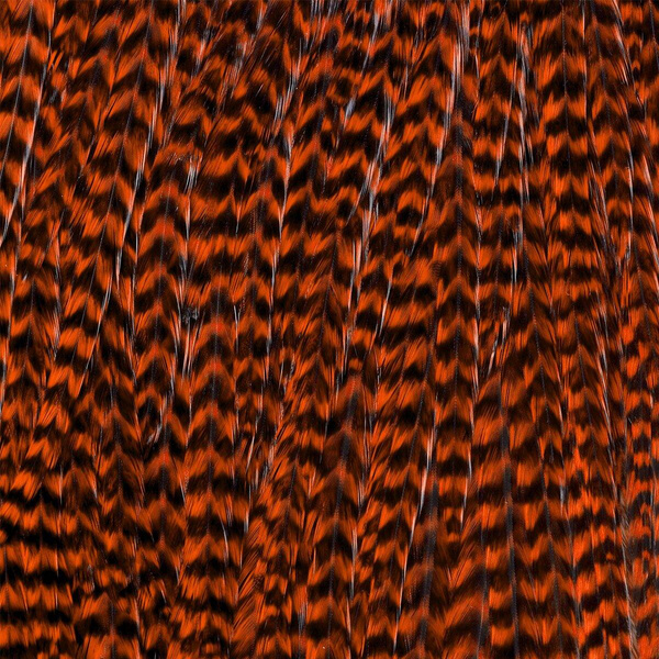 Ewing Grizzly Whole Saddles