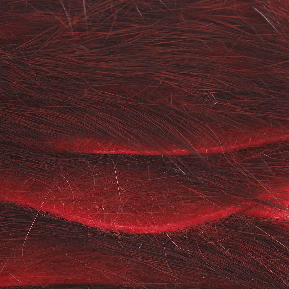 Leech Red