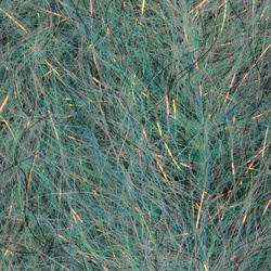 H2O Flash Blend Baitfish Brush 5 inch (flash)