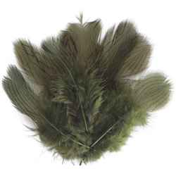 FFGene Silver Pheasant Feathers