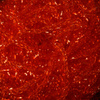 Hot Orange
