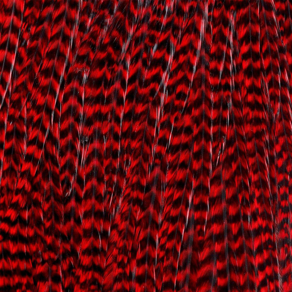 Ewing Grizzly Whole Saddles