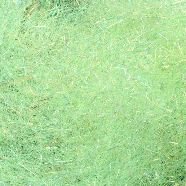 Spirit River UV2 Diamond Brite