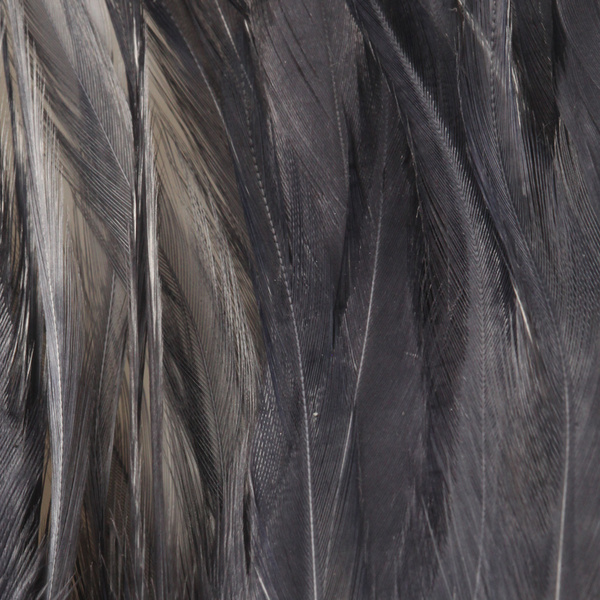 FFGene Strung Saddle Hackle