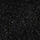 Black Gnat