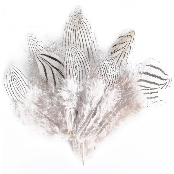 FFGene Silver Pheasant Fethres
