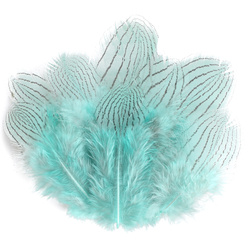 FFGene Silver Pheasant Feathers