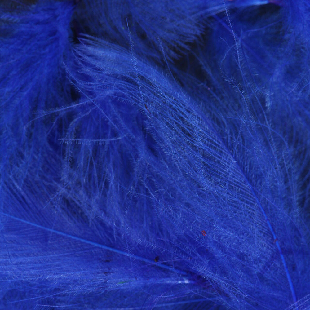 Blue France