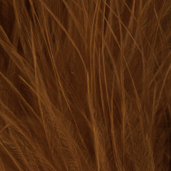 Orange Olive