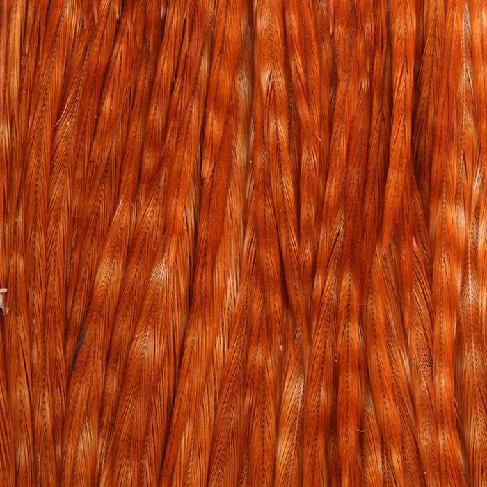 Barred Ginger