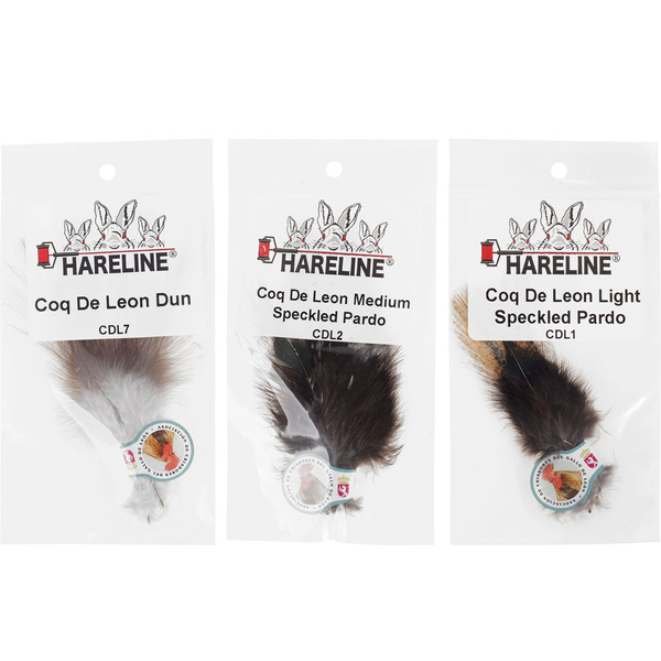 Coq de Leon Feather