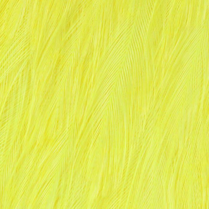 Fl. Yellow