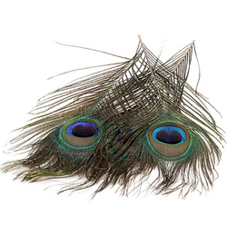 Hareline Peacock Eyed Stick