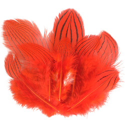 FFGene Silver Pheasant Feathers