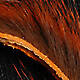Crawdad Orange