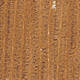 Cinnamon
