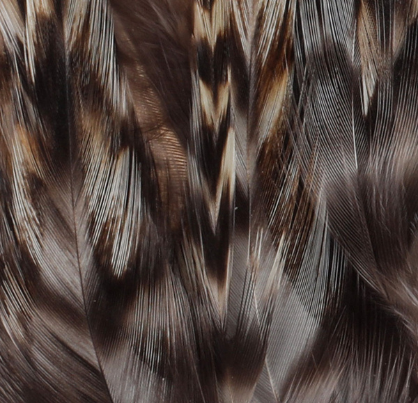 FFGene Cock Neck Hackles