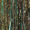 Golden Forest