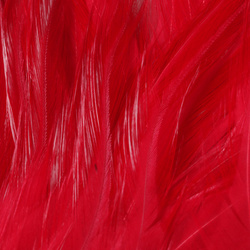 FFGene Strung Saddle Hackle