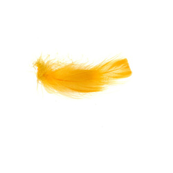 FFGene Toucan Substitute Feathers