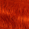 Hot Orange