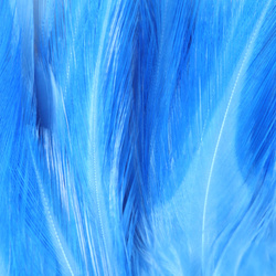 FFGene Strung Saddle Hackle